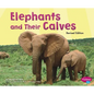 Elephants and Their Calves - Paperback