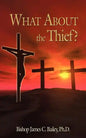 What about the Thief? - Paperback