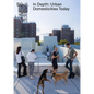 So-Il: In Depth: Urban Domesticities Today - Paperback