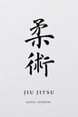 Martial Notebooks JIU JITSU: White Belt 6 x 9 - Paperback