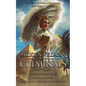 Hidden Villains: Criminals - Paperback