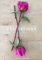 Dedications - Paperback