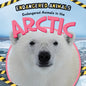 Endangered Animals in the Arctic - Library Binding