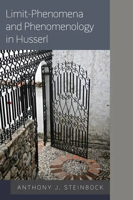 Limit-Phenomena and Phenomenology in Husserl - Paperback