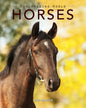 Horses: Amazing Pictures & Fun Facts on Animals in Nature - Paperback