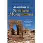 An Irishman in Northern Mesopotamia: A Journey of Discovery in South-East Türkiye - A Personal Perspective - Hardcover