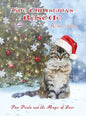 The Christmas Rescue: Paw Prints and the Magic of Love - Hardcover