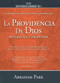 Serie Historia de la Redención Vol. 4 - La Providencia de Dios: Misteriosa Y Profunda - Paperback