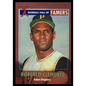 Roberto Clemente - Paperback
