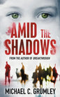 Amid the Shadows - Paperback