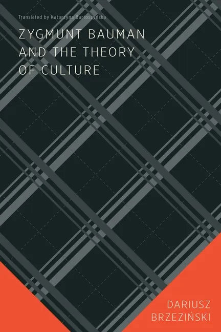 Zygmunt Bauman and the Theory of Culture - Paperback