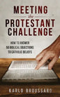 Meeting the Protestant Challenge - Paperback