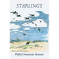 Starlings - Hardcover