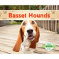 Basset Hounds - Library Binding