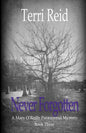 Never Forgotten: A Mary O'Reilly Paranormal Mystery - Book Three - Paperback