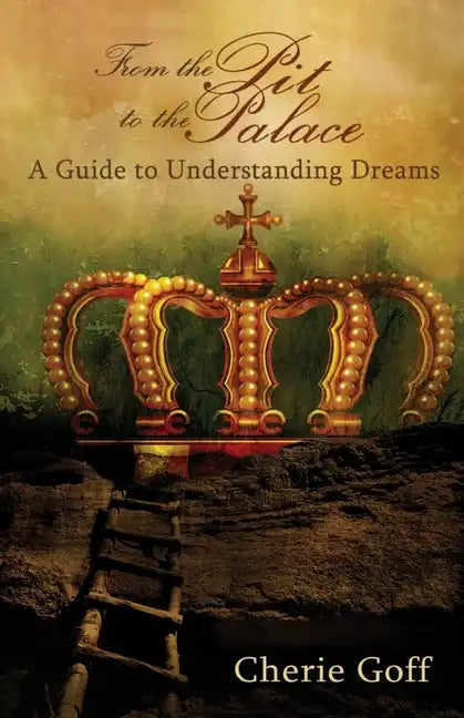 From the Pit to the Palace: A Guide to Understanding Dreams - Paperback