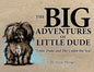 The BIG Adventures of Little Dude - Paperback