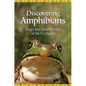 Discovering Amphibians: Frogs and Salamanders of the Northeast - Paperback