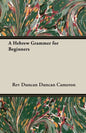 A Hebrew Grammer for Beginners - Paperback