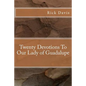 Twenty Devotions To Our Lady of Guadalupe - Paperback
