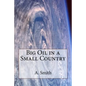 Big Oil in a Small Country - Paperback