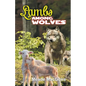Lambs Among Wolves - Paperback