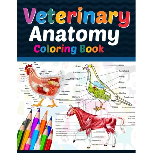 Veterinary Anatomy Coloring Book: Veterinary Anatomy Coloring Book For Medical, High School Students. Anatomy Coloring Book for kids. Veterinary Anato - Paperback