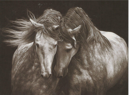 Kindred Spirits Greeting Card -  Blank Card