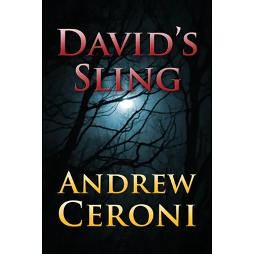 David's Sling - Paperback