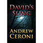David's Sling - Paperback