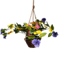 Trailing Pansy Flowers in 8" Hanging Bamboo Basket -