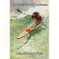 The Swiss Family Robinson - Paperback