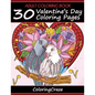 Adult Coloring Book: 30 Valentine's Day Coloring Pages - Paperback