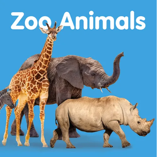 Zoo Animals - Board Book