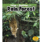 Living and Nonliving in the Rain Forest - Paperback