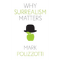 Why Surrealism Matters - Paperback
