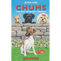 Bouncer - Paperback