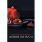 Outside the Frame - Paperback