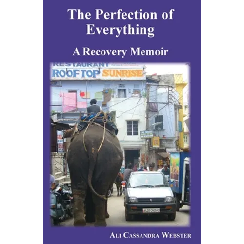 The Perfection of Everything: A Recovery Memoir - Paperback