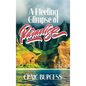 A Fleeting Glimpse of Paradise - Hardcover