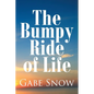 The Bumpy Ride of Life - Paperback