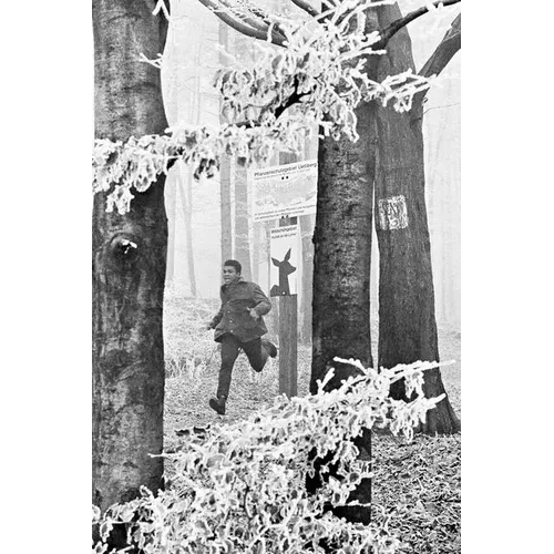 Muhammad Ali, Zurich, 26.12.1971 - Hardcover