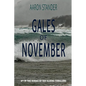 Gales of November: A Ray Elkins Thriller - Paperback