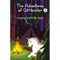 The Adventures of Glitterstar #2: Camping Under the Stars - Paperback