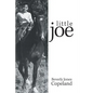 Little Joe - Paperback