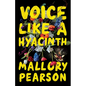 Voice Like a Hyacinth - Paperback