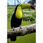 Wonderful Nature Birds: Picture book gift for seniors with Dementia or patients with Alzheimer's. 40 full color photographs of birds, with nam - Paperback