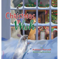 A Christmas Wish - Hardcover