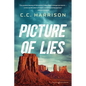 Picture of Lies - Paperback