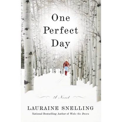 One Perfect Day - Paperback